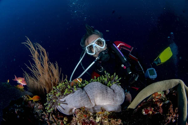 diver portrait in Maldives corals house for Fishes underwater landscape