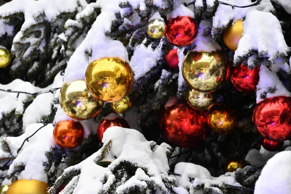 Ball Decoration Natural Christmas Tree Snow — Stock Photo, Image