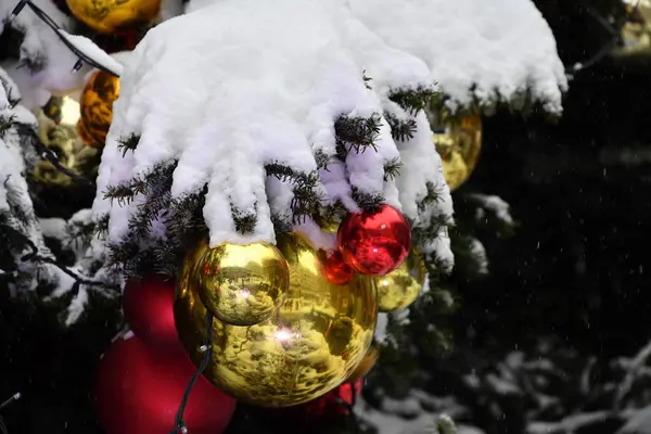 在雪下的天然圣诞树上的球装饰 — 图库照片