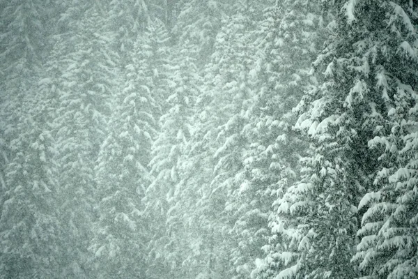 Schneesturm Auf Weißen Bergen — Stockfoto