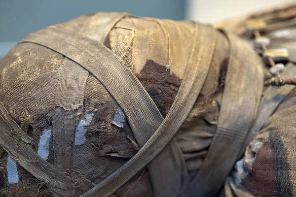 Egyptian Mummy Head Close Detail — Stock Photo, Image