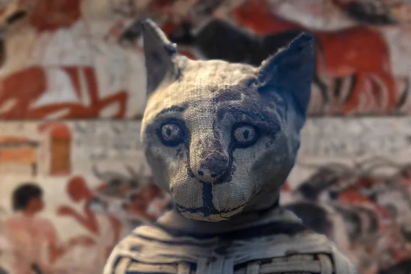 Old Egyptian Mummy Cat Close Detail — Stock Photo, Image