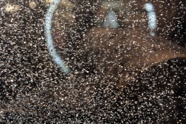 Noel bulanıklık xmas hafif yumuşak arka plan dokusu