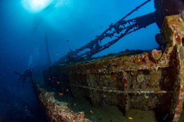 scuba diver dsilhouette hayatı üzerinde gemi batığı Sualtı Maldivler