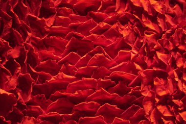 kırmızı gül yaprakları pek çok