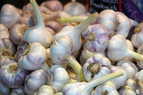 Sarımsak Piyasada Almanya Münih — Stok fotoğraf