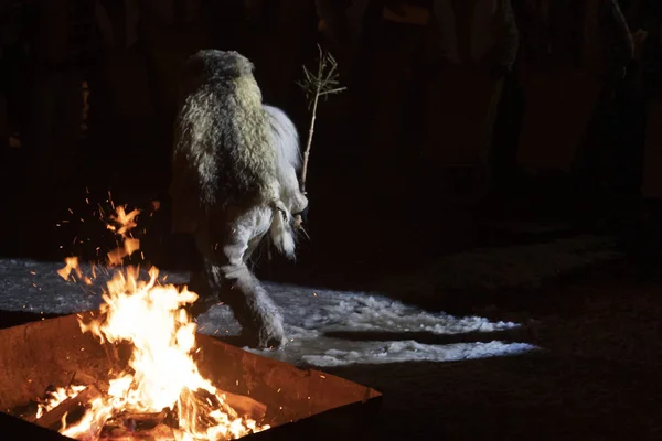 Neuschoenau Alemanha Janeiro 2019 Celebração Tradicional Noite Lousnacht Uma Vez — Fotografia de Stock