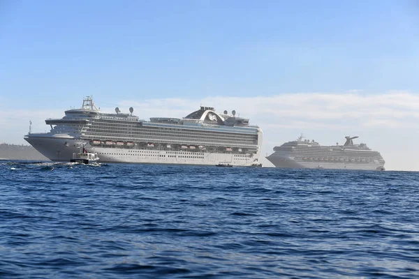 Cabo San Lucas Messico Gennaio 2018 Cabo Porto Ancoraggio Tutte — Foto Stock