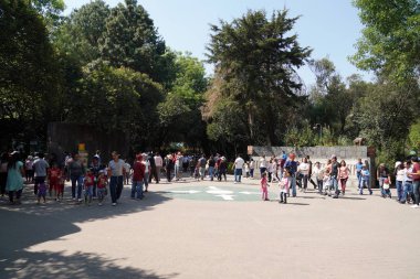 Mexico City, 3 Şubat 2019 - Chapultepec Batı yarımküresinin en büyük şehir parklarından biridir. Her Pazar yerel Meksika binlerce kalabalık Kalesi ve Hayvanat Bahçesi