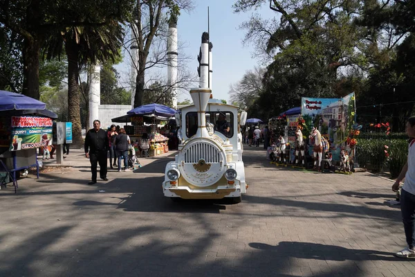 Mexico City Február 2019 Chapultepec Egyike Legnagyobb Városi Parkok Nyugati — Stock Fotó