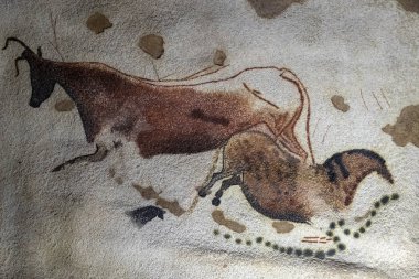 Lascaux stil Petroglyph detay yakın çekim