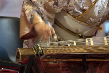 Koto (enstrüman) Japon ARP