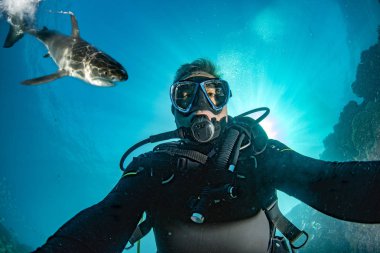 Büyük beyaz köpekbalığı saldırmaya hazır ile sualtı selfie
