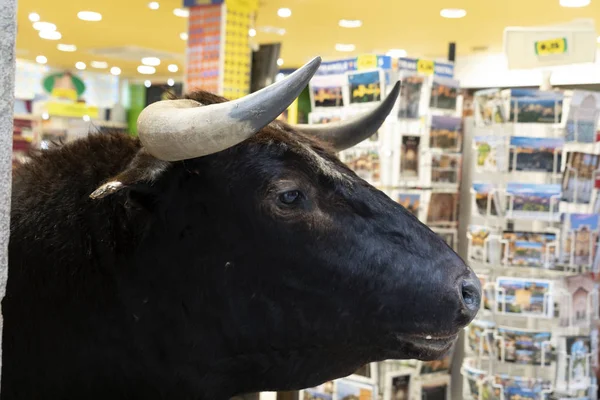 Spanischer Bulle vor Souvenirladen — Stockfoto