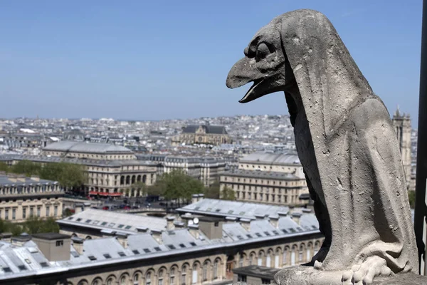 Notre dame paris cathedral statue sculpture and roof before fire — Stock Photo, Image