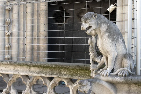 Notre dame paris catedral estatua escultura y techo antes del fuego —  Fotos de Stock