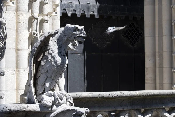 Notre dame paris catedral estatua escultura y techo antes del fuego —  Fotos de Stock