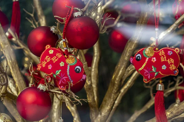 Chinese pig year 2019 symbol — Stock Photo, Image