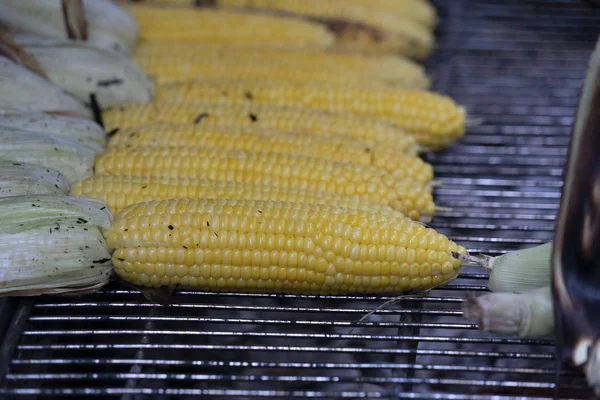 Churrasco assado de espiga de milho — Fotografia de Stock