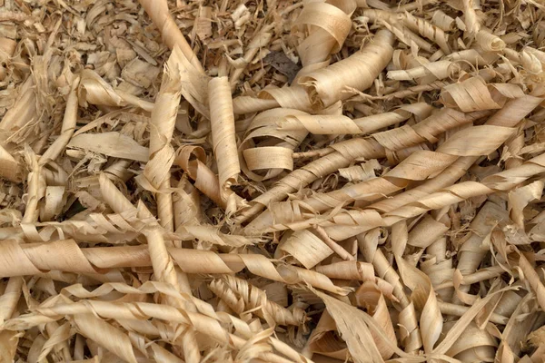 Trucioli di legno in dettaglio segheria — Foto Stock