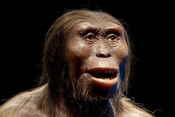 Lucy neandertalczyka Cro-Magnon kobieta na białym tle na czarno — Zdjęcie stockowe