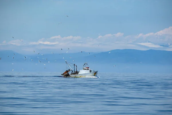 Fisherman fishing boat with many seagulls — Stock Photo, Image