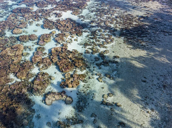 Recifes de jardim de corais na polinésia francesa vista aérea com drone — Fotografia de Stock