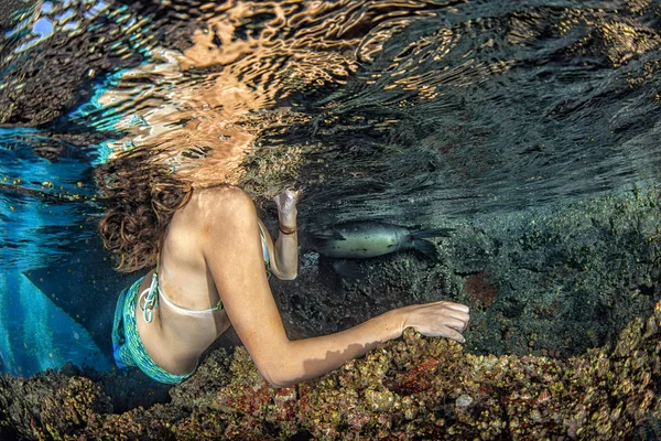 Sellő víz alatti úszás a mély kék tenger — Stock Fotó