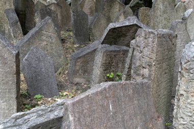 Prag Yahudi eski mezarlığı