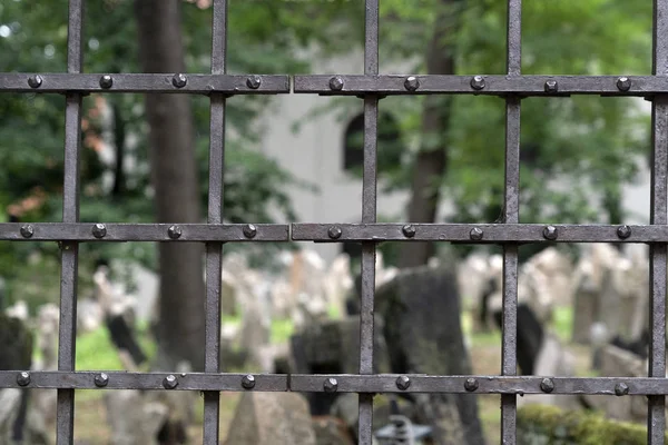 Jewish old cemetery in prague — Stock Photo, Image