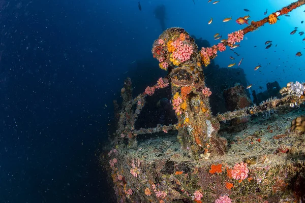 Liberty Ship Wreck in bali indonesia indian ocean — Stock Photo, Image