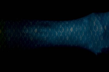 siyah denizkızı vücut kuyruk detay