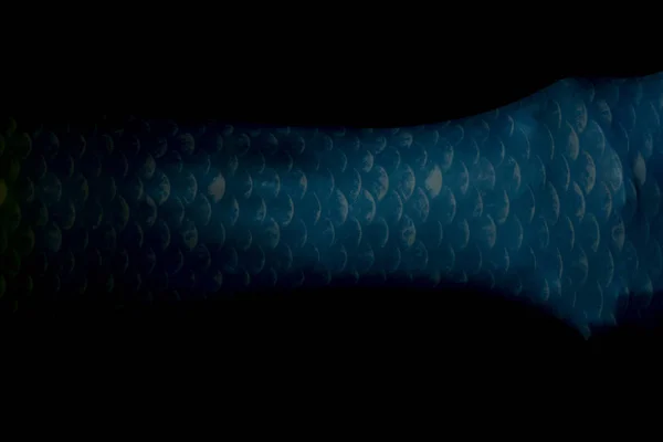 Mermaid body tail detail on black — Stock Photo, Image