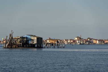 Chioggia İtalya'da midye yetiştiriciliği