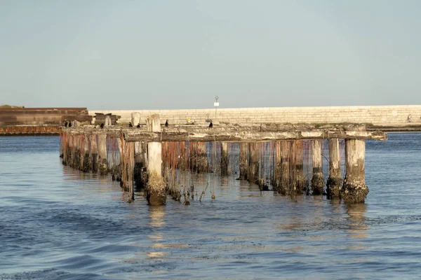 Chov mušlí v Chioggia (Itálie) — Stock fotografie