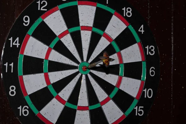 Dart Game Target Close Detail — Stock Photo, Image