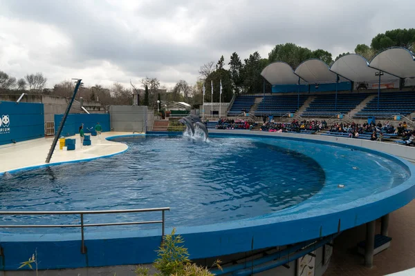 Madrid Spanien April 2019 Die Delfinshow Aquarium Zoo Findet Jeden — Stockfoto
