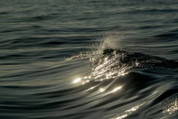 Sunset Ocean Sea Wave Liquid Velvet Background — Stock Photo, Image