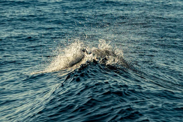 Atardecer Océano Mar Ola Líquido Terciopelo Fondo —  Fotos de Stock