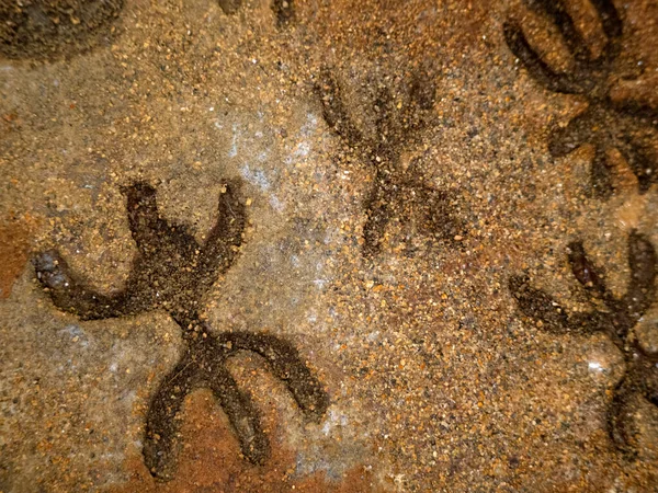 意大利萨丁岛海牛洞窟内的无核石器时代的古石英时代的侏罗纪著作 — 图库照片