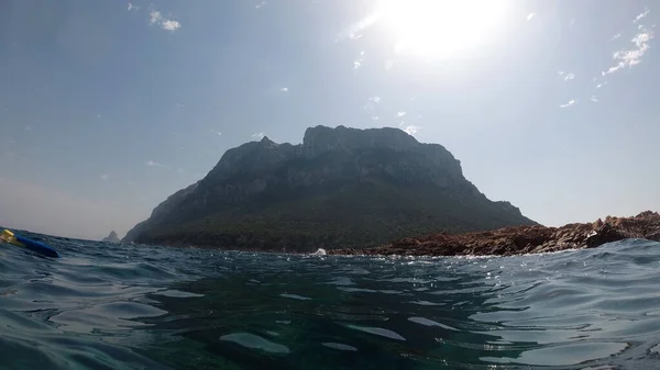 Sardunya Kristal Suyu Sualtı Manzarası Panorama Dalış Dalışı Şnorkelle Yüzme — Stok fotoğraf