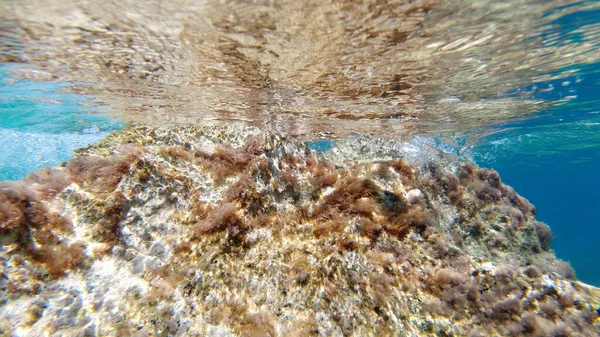 Sardinien Kristallklares Wasser Unterwasserblick Panorama Tauchen Schnorcheln — Stockfoto