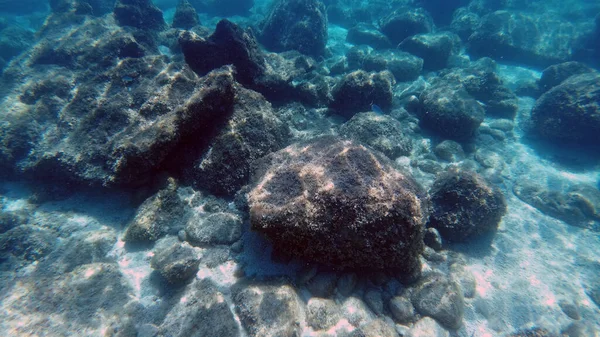Sardaigne Cristal Eau Vue Sous Marine Panorama Plongée Plongée Avec — Photo