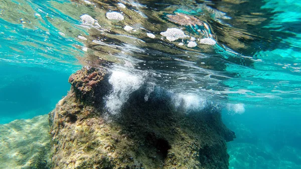 Sardinie Křišťálová Voda Podvodní Pohled Panorama Potápění Šnorchlování — Stock fotografie