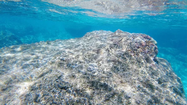 Sardinien Kristallklares Wasser Unterwasserblick Panorama Tauchen Schnorcheln — Stockfoto