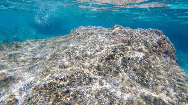 Sardinie Křišťálová Voda Podvodní Pohled Panorama Potápění Šnorchlování — Stock fotografie