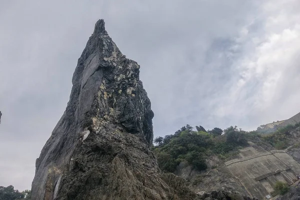 Europejski Świnka Shag Koromorant Phalacrocorax Ptak Skale — Zdjęcie stockowe