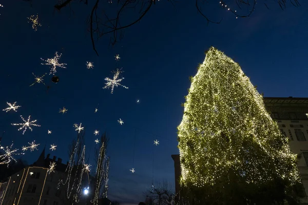 Liubliana Lugar Principal Árbol Navidad — Foto de Stock