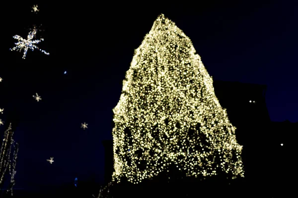 Verdadeira Árvore Natal Xmas Forma Luz — Fotografia de Stock