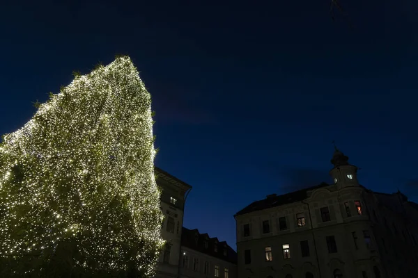 Liubliana Lugar Principal Árbol Navidad — Foto de Stock